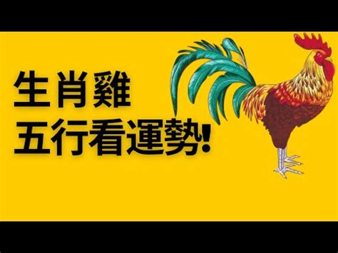 雞五行|屬雞的人在五行中屬於哪一類？詳細解讀與分析